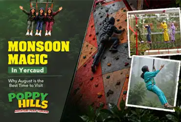 Best adventure park in Yercaud - Poppy Hills