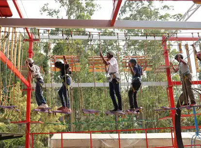 Rope Course Adventure Park in Yercaud - Poppy Hills